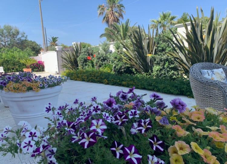 Villa Katy Salento Campomarino  Exterior photo
